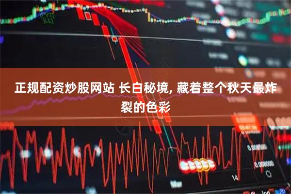 正规配资炒股网站 长白秘境, 藏着整个秋天最炸裂的色彩