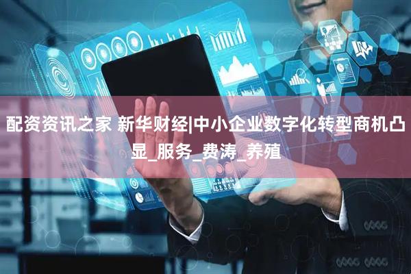 配资资讯之家 新华财经|中小企业数字化转型商机凸显_服务_费涛_养殖