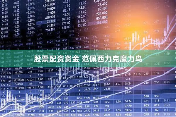 股票配资资金 范佩西力克魔力鸟
