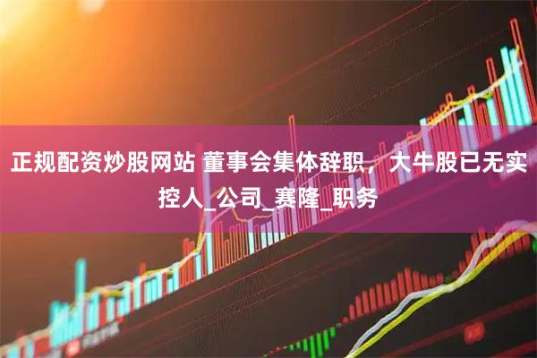 正规配资炒股网站 董事会集体辞职，大牛股已无实控人_公司_赛隆_职务