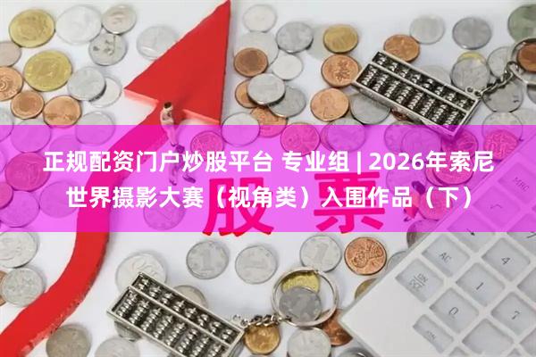 正规配资门户炒股平台 专业组 | 2026年索尼世界摄影大赛(视角类)入围作品(下)