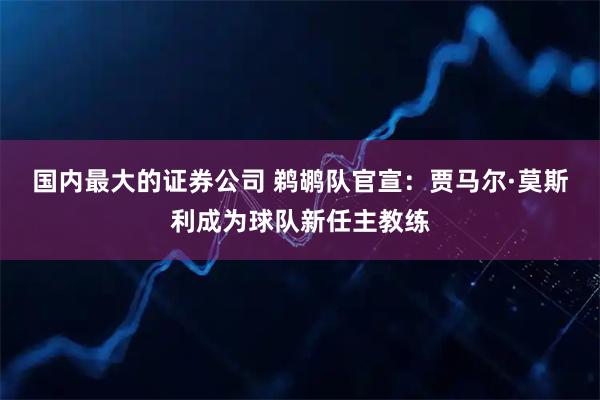国内最大的证券公司 鹈鹕队官宣：贾马尔·莫斯利成为球队新任主教练